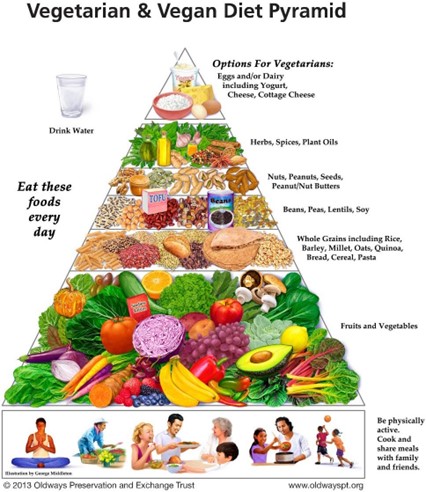 Veg-VeganDietPyramid 