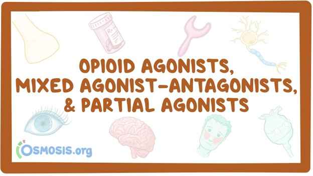Mixed Agonists