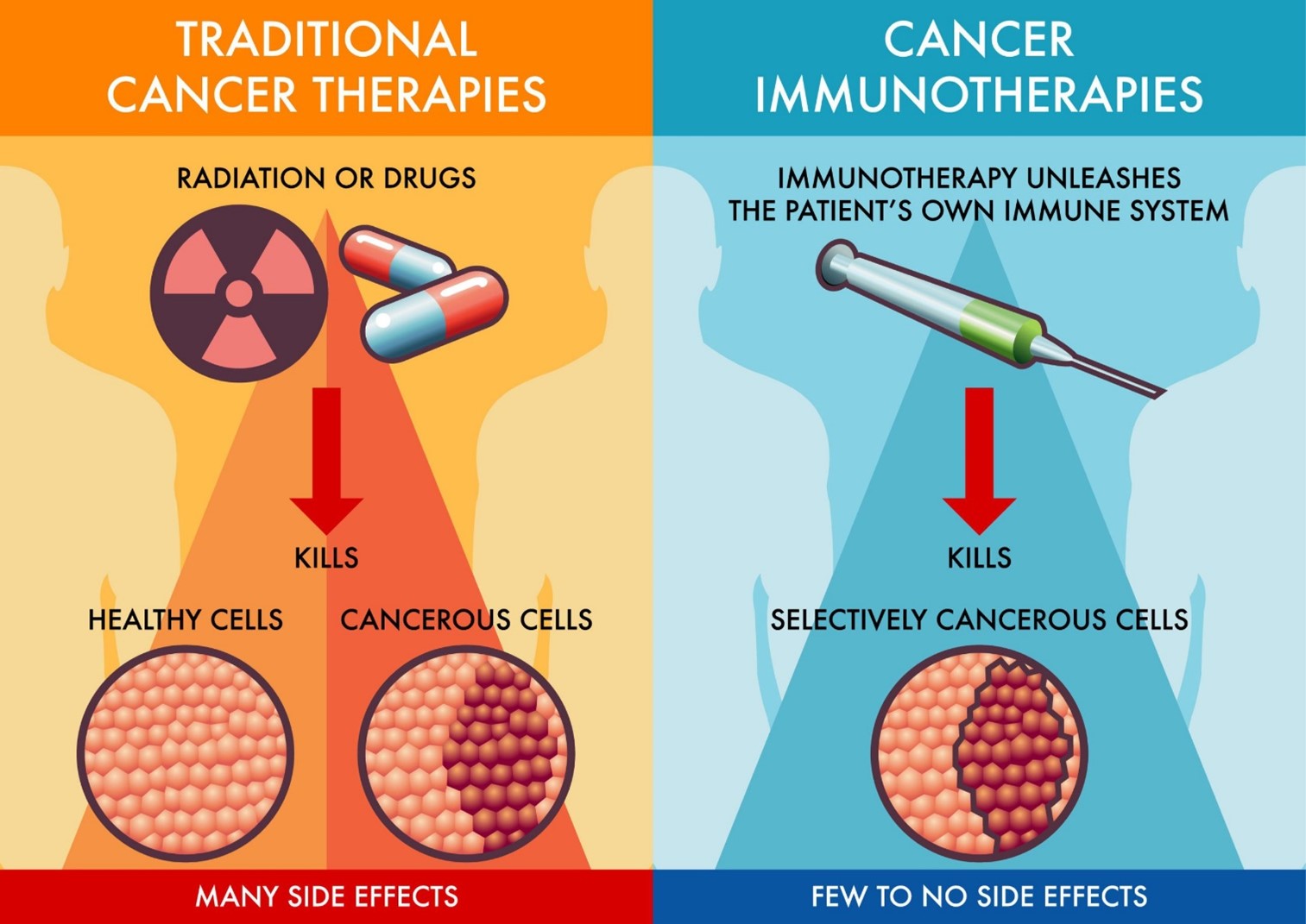 Chemotherapy Agents And Oncology Pharmacology Exams Naxlex Nursing