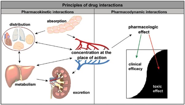 Drug interactions