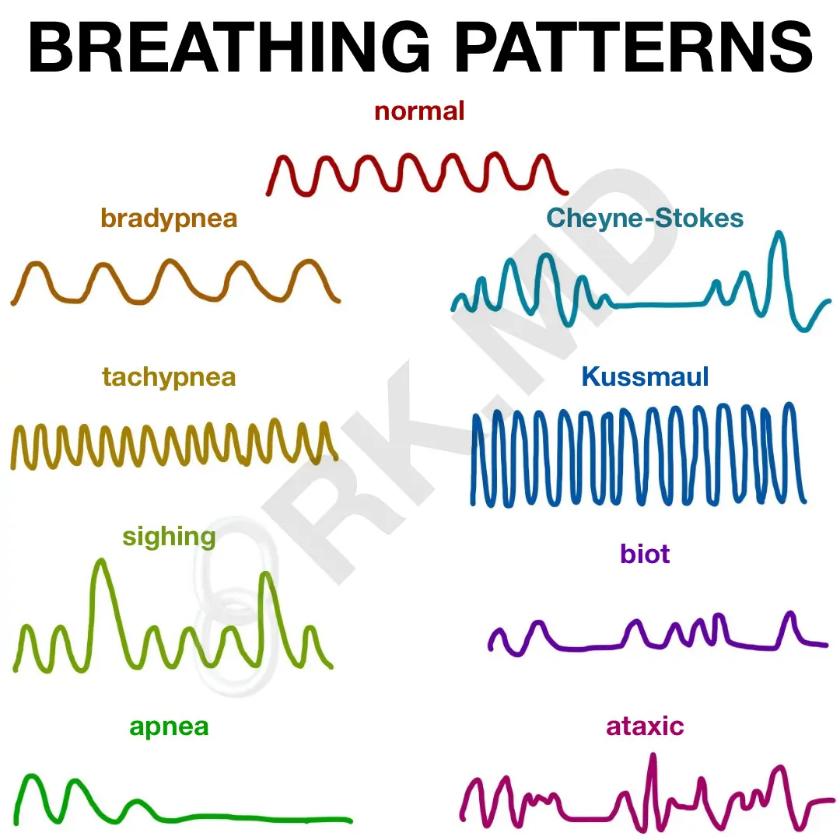 Breathing Patterns - Kanika's Nursing Academy