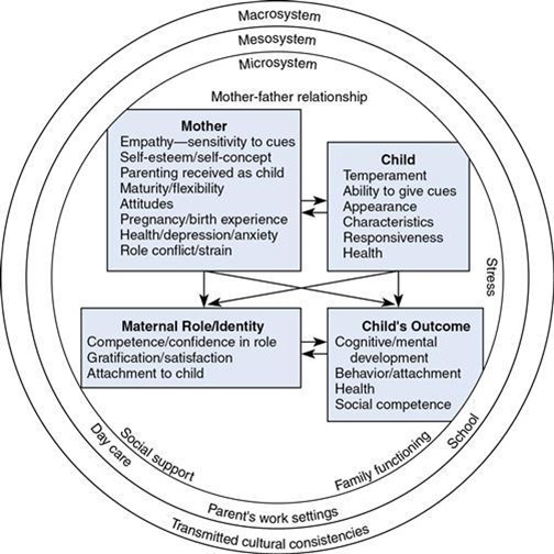 Phases of MATERNAL Role Attainment