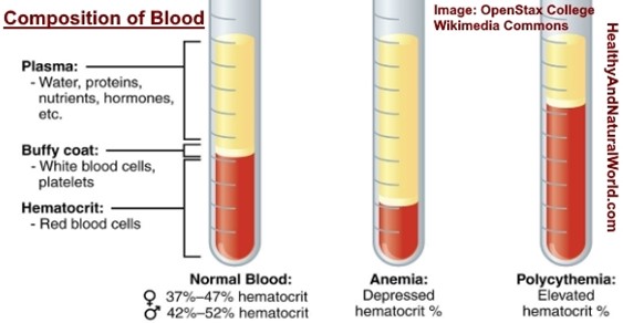 Hematocrit (Hct) Blood Test: What Does Low or High Hct Levels Mean? | Nestia