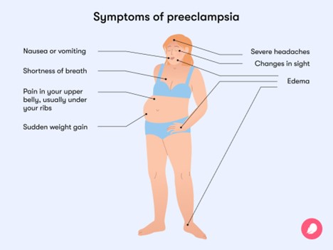 Preeclampsia: Symptoms, causes, and treatment - Flo