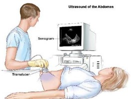 Ultrasound of the Abdomen